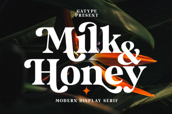 Milk and Honey: A Serif Font for Modern Brands